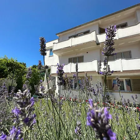 Vinse Near Rab Center Rab Town