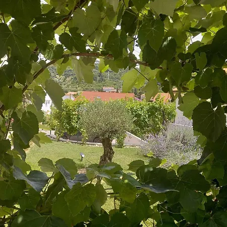 Vinse Near Rab Center *