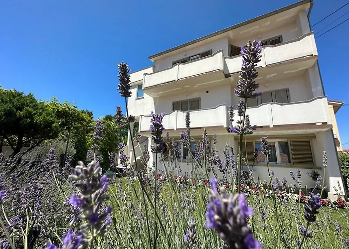 Vinse Near Rab Center Rab Town