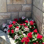 Vinse Near Rab Center