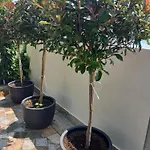 Apartment Vinse Near Rab Center Rab Town