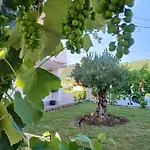 Apartment Vinse Near Rab Center