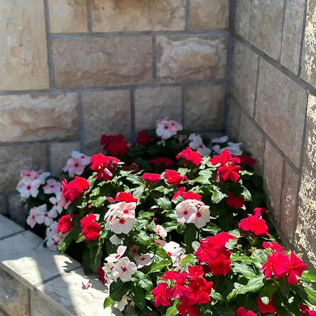 Vinse Near Rab Center