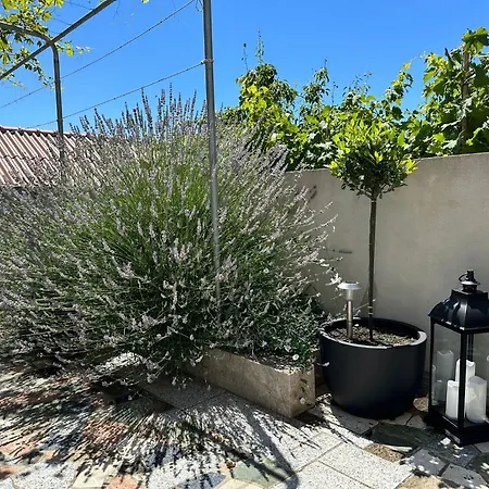 Apartamento Vinse Near Rab Center Rab Town