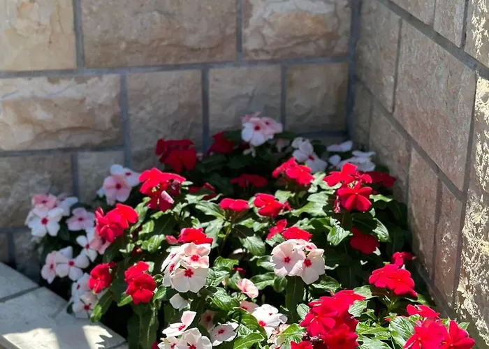 Vinse Near Rab Center