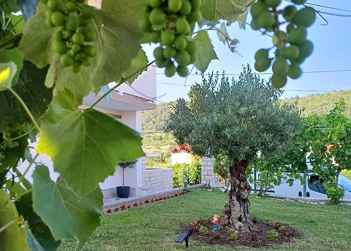 Apartment Vinse Near Rab Center
